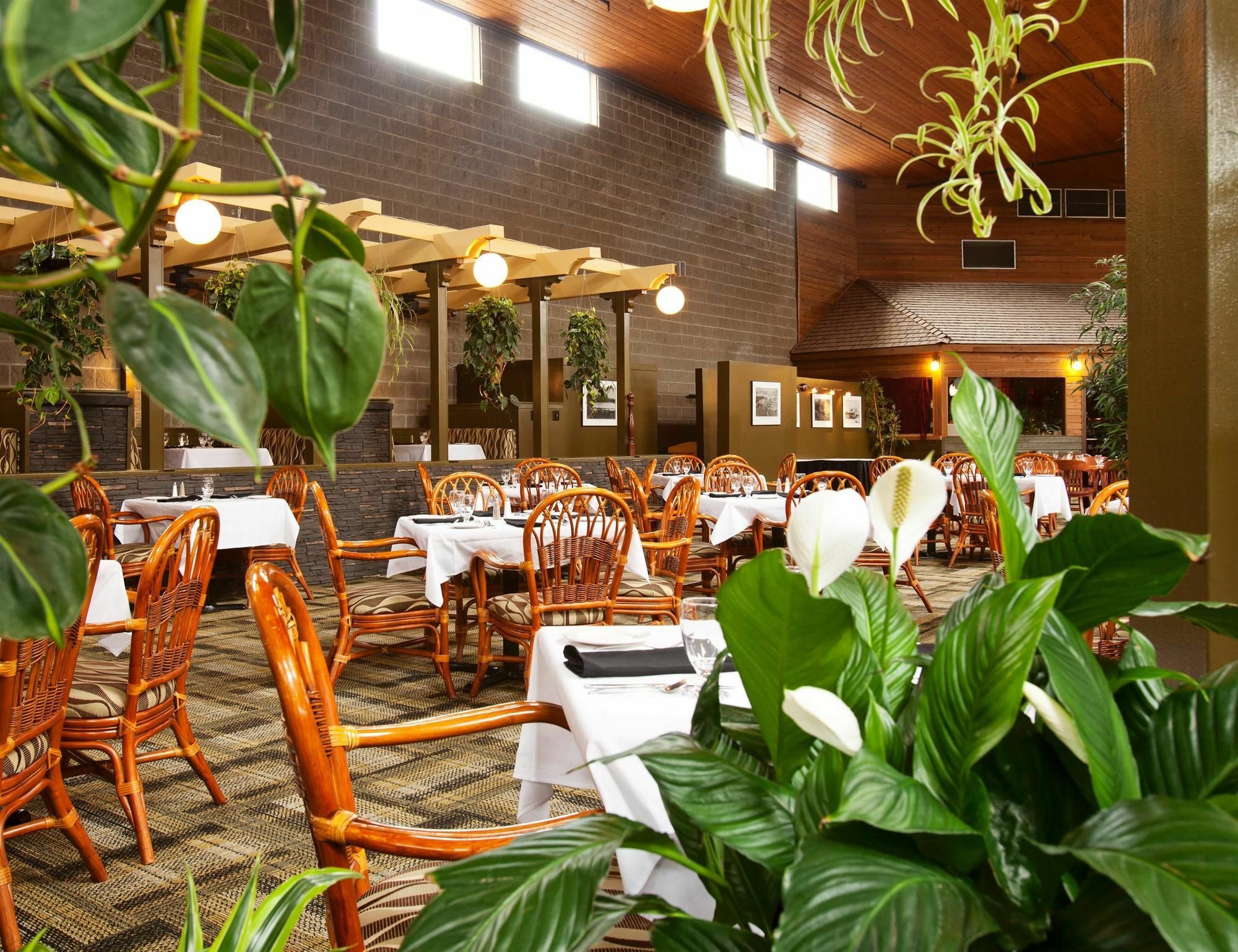 Surestay Hotel By Best Western チリワック エクステリア 写真